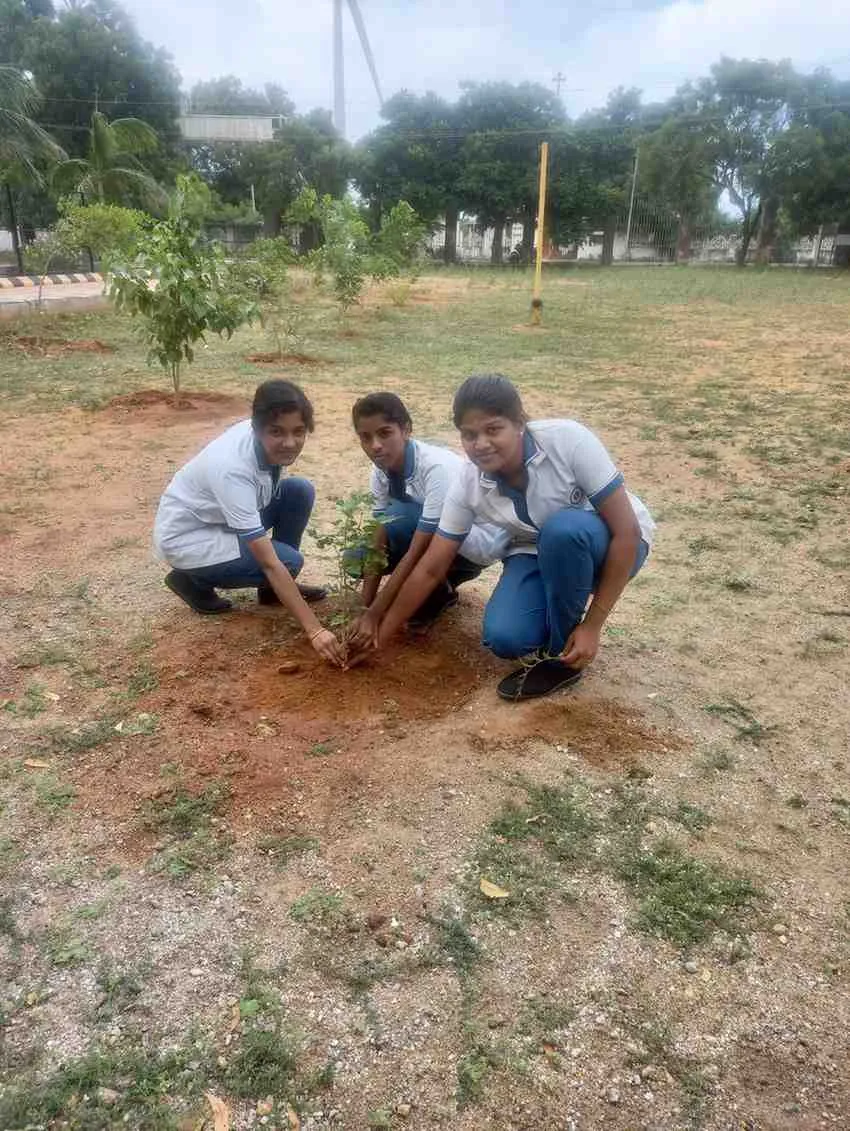 Environmental Day